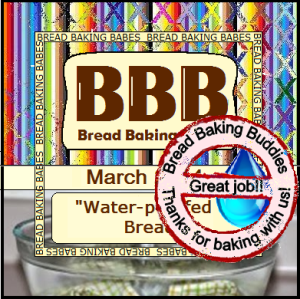 BBBuddy badge march 14